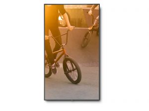 Профессиональный дисплей NEC P654Q