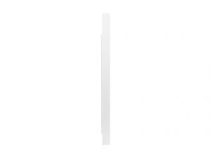 Электронный флипчарт Samsung WM55R