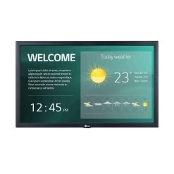 LG 22SM3G-B | Профессиональный дисплей 22"