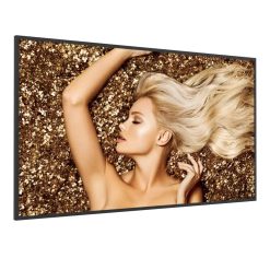 Профессиональный дисплей BenQ SL7202K