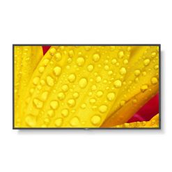 SHARP/NEC MultiSync ME651 | Профессиональный дисплей 65"