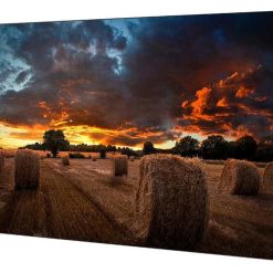 Samsung VM55T-U | LCD Панель 55" для видеостен