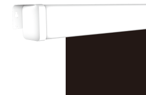 Настенный проекционный экран Lumien серии Master CSR Picture